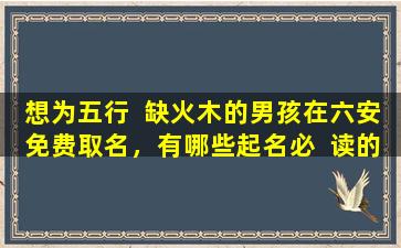 想为五行  缺火木的男孩在六安免费取名，有哪些起名必  读的知识